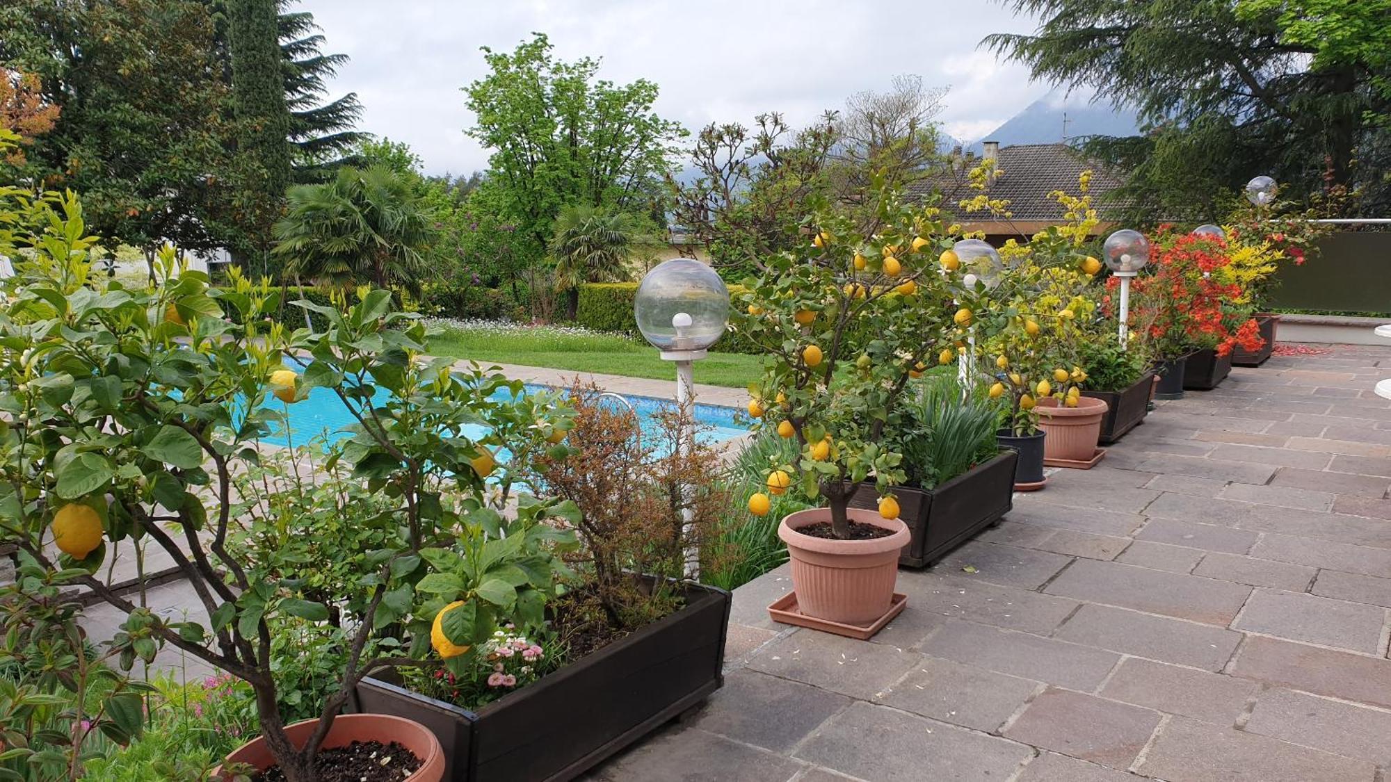 Hotel Tiffany Merano Exterior foto
